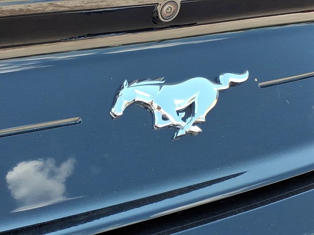 2023 Ford Mustang EcoBoost