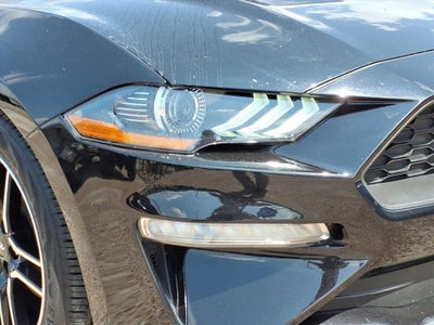 2023 Ford Mustang EcoBoost